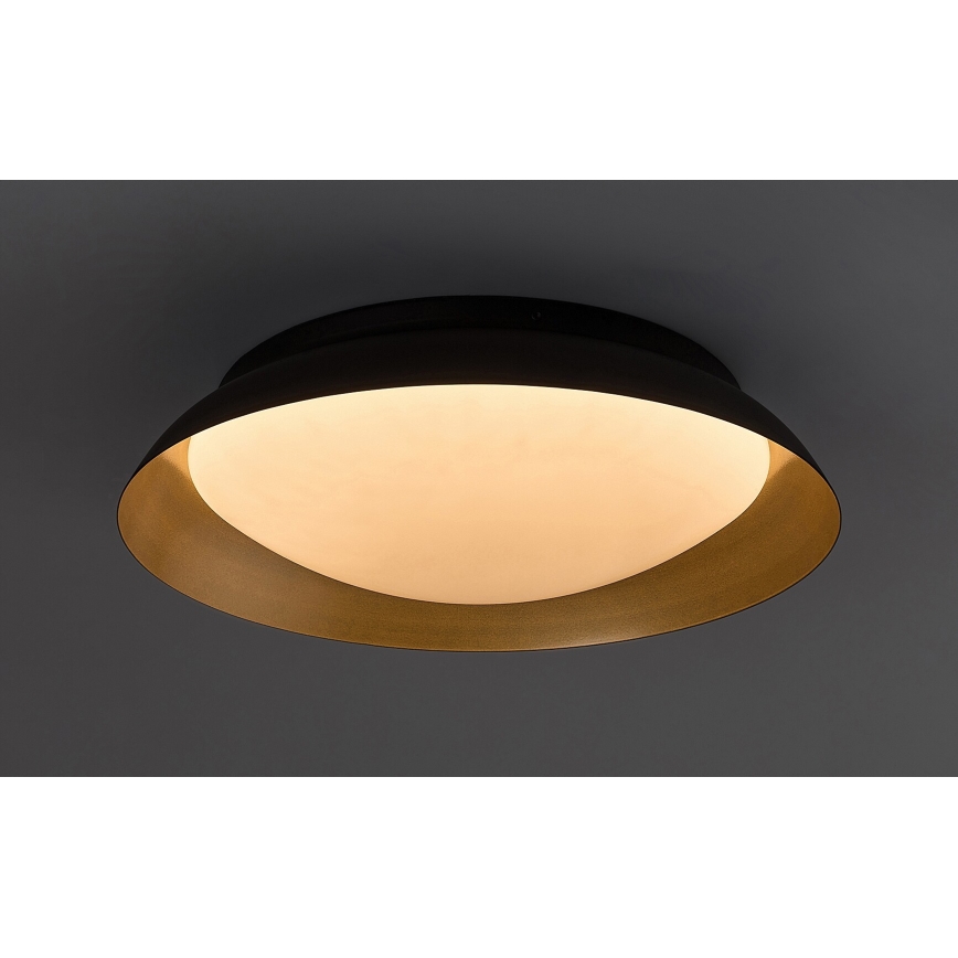 Rabalux - LED Plafondlamp LED/24W/230V 3000K diameter 40 cm