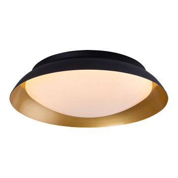 Rabalux - LED Plafondlamp LED/24W/230V 3000K diameter 40 cm