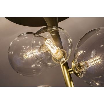 Rabalux  - Hanglamp met vaste pendel 6xG9/28W/230V