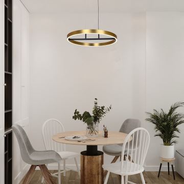 Rabalux - LED Hanglamp aan een koord LED/42W/230V goud