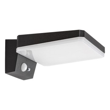 Rabalux - Applique murale solaire à intensité variable avec détecteur LED/4,4W/3,7V IP54 noir