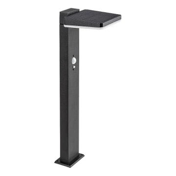 Rabalux -  Lampe solaire extérieure à intensité variable avec détecteur LED/4,4W/3,7V IP54 anthracite