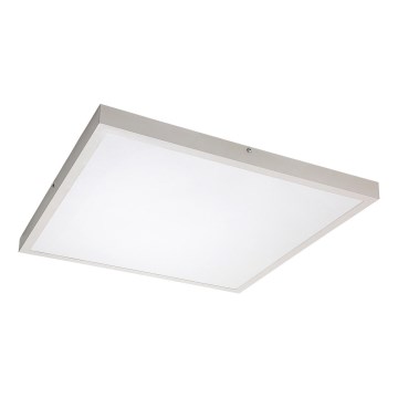 Rabalux - LED Bevestigd lichtpaneel LED/40W/230V 4000K 60x60 cm