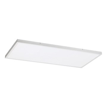 Rabalux - LED Bevestigd lichtpaneel LED/80W/230V 4000K 120x60 cm