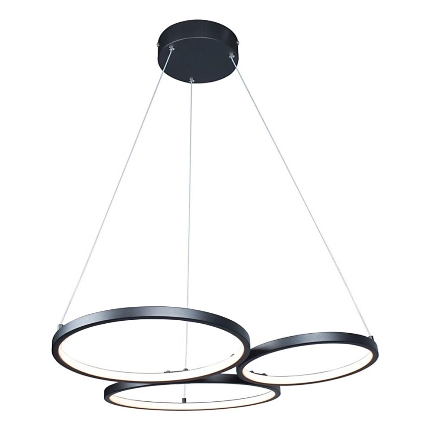 Rabalux - LED Hanglamp aan een koord LED/38W/230V zwart