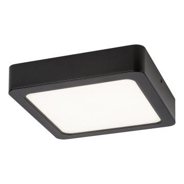 Rabalux - LED Plafondlamp LED/24W/230V 3000K 22x22 cm zwart