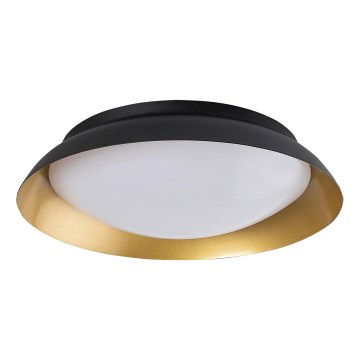 Rabalux - LED Plafondlamp LED/24W/230V 3000K diameter 40 cm