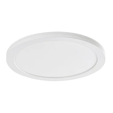 Rabalux - Panneau avec détecteur LED/18W/230V 4000K 22,5 cm