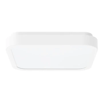Rabalux - Plafonnier salle de bain LED/18W/230V IP44 4000K 25x25 cm blanc