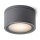 RED - Design Rendl - R10430 - Lamp voor Buiten MERIDO 1xGX53/11W/230V IP54 antraciet