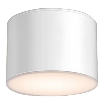 Shilo - Badkamer Plafond Lamp 1xGX53/15W/230V IP44 wit