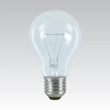 Speciale lamp voor industrie E27 / 100W / 24V