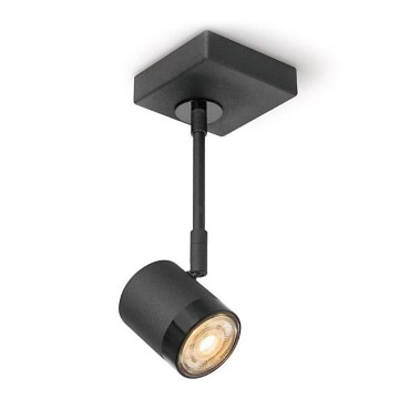 Spot LED à intensité variable MANU 1xGU10/5,8W/230V noir