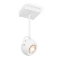 Spot LED à intensité variable NOP 1xGU10/5,8W/230V blanc