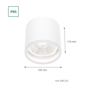 Spot salle de bain CHLOE AR111 1xGU10/50W/230V IP65 rond blanc