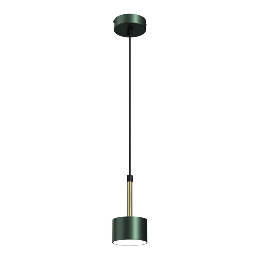 Suspension filaire ARENA 1xGX53/11W/230V vert/gold