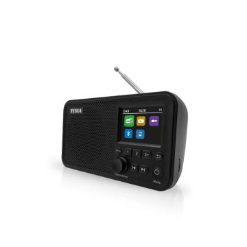 TESLA Electronics - Radio DAB+ FM 5W/1800 mAh zwart