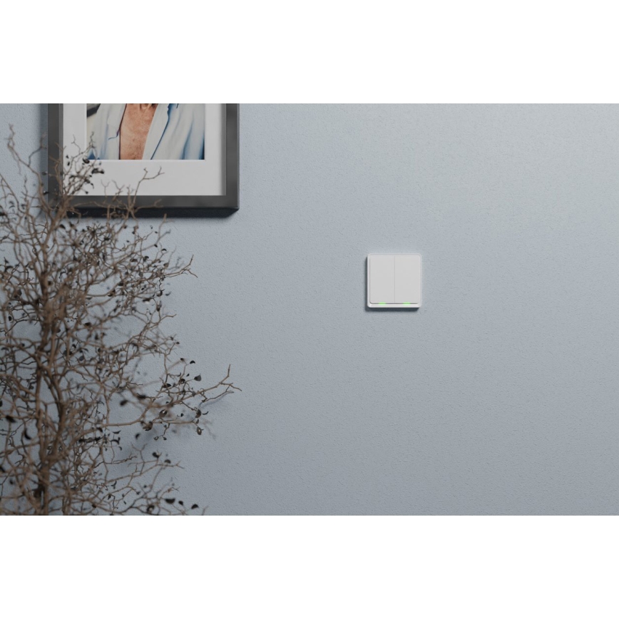 TESLA Smart - Interrupteur maison connectée 2P 230V Zigbee