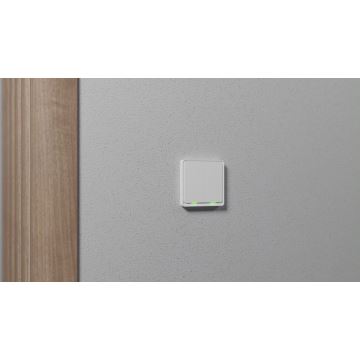 TESLA Smart - Interrupteur maison connectée 2P 230V Zigbee