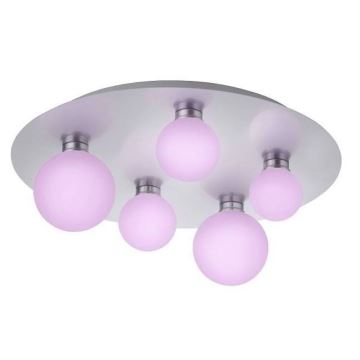 Trio - Dimbare LED RGB Plafond Lamp DICAPO 5xLED/3W/230V 3000-5000K + afstandsbediening