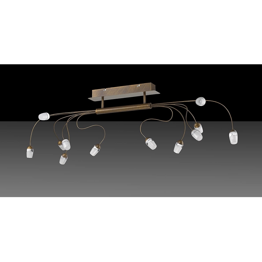 Trio - LED Bevestigde Hanglamp SARA 12xLED/2W/230V