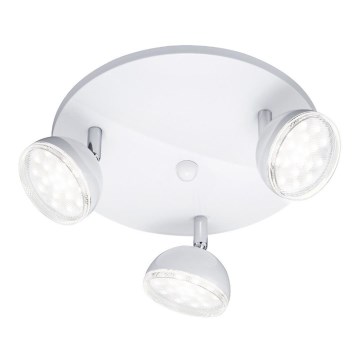 Trio - LED Spot BOLOU 3xLED/3,8W/230V