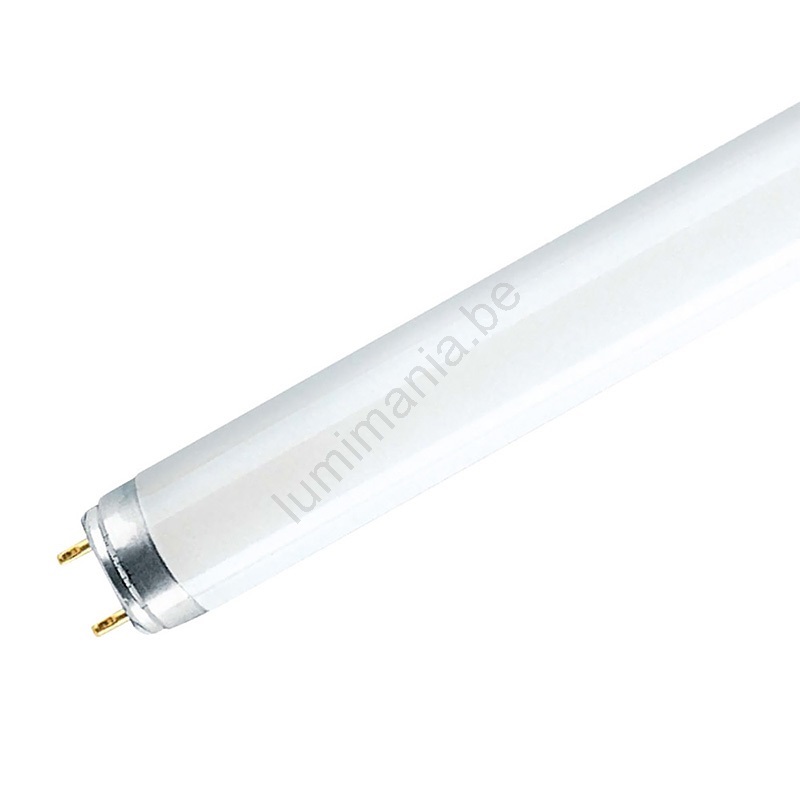 where to recycle fluorescent tubes near me