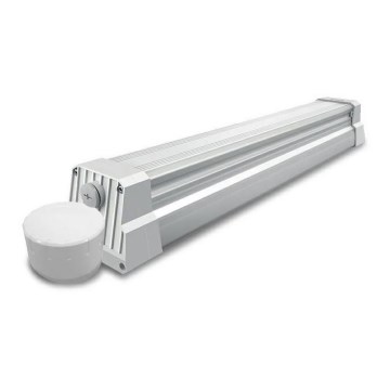 Tube fluorescent industriel LED/55W/230V IP66