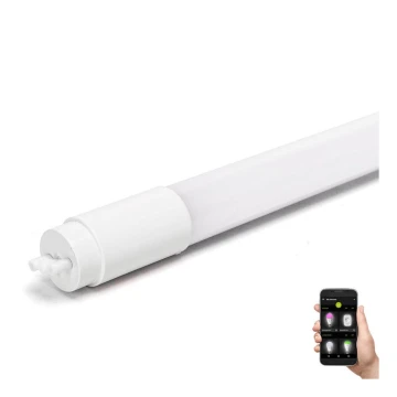 Tube fluorescent T8/10W/230V 6500K 60 cm - Aigostar