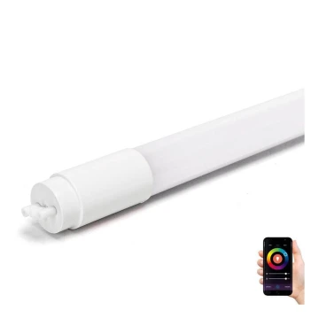 Tube fluorescent T8/18W/230V 2700-6500K 120 cm - Aigostar