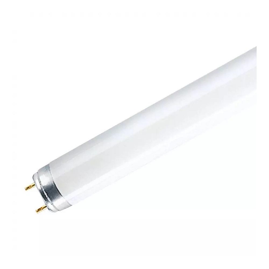 Tube fluorescent T8 G13/18W/230V 6500K 60 cm