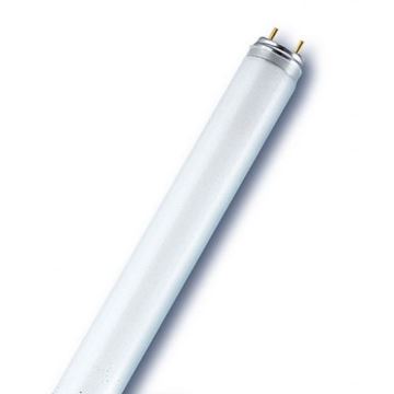 Tube fluorescent T8 G13/18W/230V 6500K 60 cm