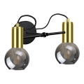 Wandlamp LIVA 2xE27/60W/230V zwart/gouden