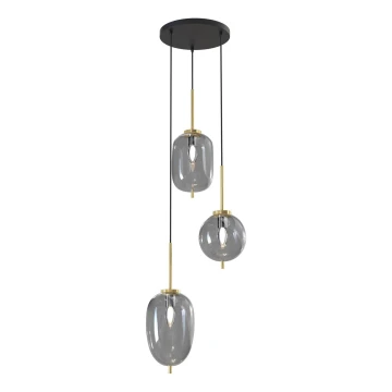 Wofi 5007-302 - Hanglamp aan een koord BELLEVILLE 3xE14/40W/230V zwart/goud