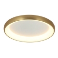 Zambelis 2042 - Dimbare LED Plafondlamp LED/30W/230V diameter 40 cm goud