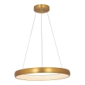 Zambelis 2054 - Dimbare LED hanglamp aan een koord LED/50W/230V diameter 60 cm goud