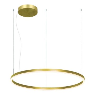 Zambelis 22240 - Dimbare LED hanglamp aan een koord LED/57W/230V 3000K diameter 80 cm goud