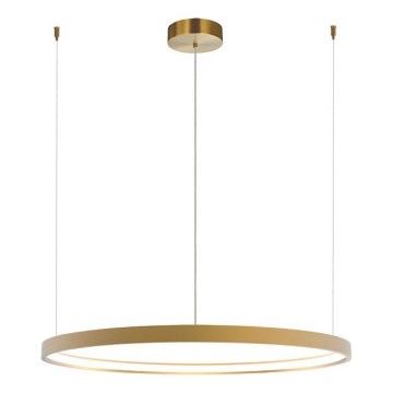 Zambelis 23032 - Dimbare LED hanglamp aan een koord LED/28W/230V 3000K diameter 60 cm goud