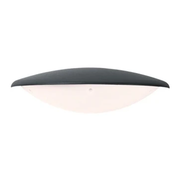 Zambelis E115 - LED Wandlamp voor buiten LED/6W/230V IP54 antraciet