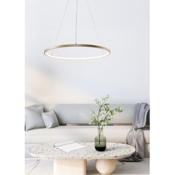 Zuma Line - LED Hanglamp aan een koord LED/28W/230V 3000/4000/6000K diameter 60 cm goud