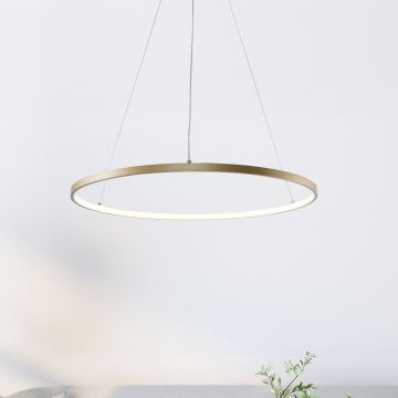 Zuma Line - LED Hanglamp aan een koord LED/28W/230V 3000/4000/6000K diameter 60 cm goud