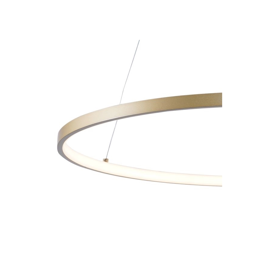 Zuma Line - LED Hanglamp aan een koord LED/28W/230V 3000/4000/6000K diameter 60 cm goud