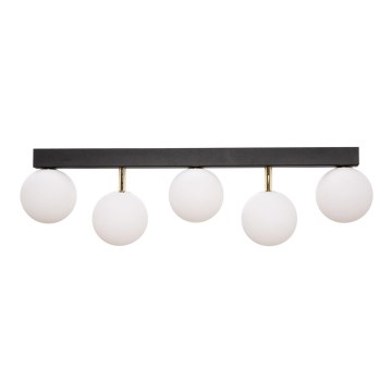 Zuma Line - Bevestigde hanglamp 5xG9/40W/230V