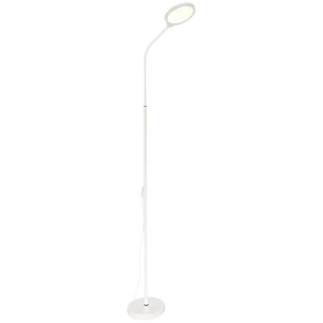 Zuma Line  - Dimbare LED Staande lamp LED/10W/230V 3000/4500/6500K wit