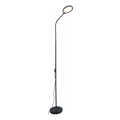 Zuma Line - Lampadaire à intensité variable LED/10W/230V 3000/4500/6500K noir