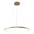 Zuma Line - LED Hanglamp aan een koord LED/28W/230V 3000/4000/6000K diameter 60 cm goud