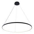 Zuma Line - LED Hanglamp aan een koord LED/36W/230V 3000/4000/6000K diameter 80 cm zwart